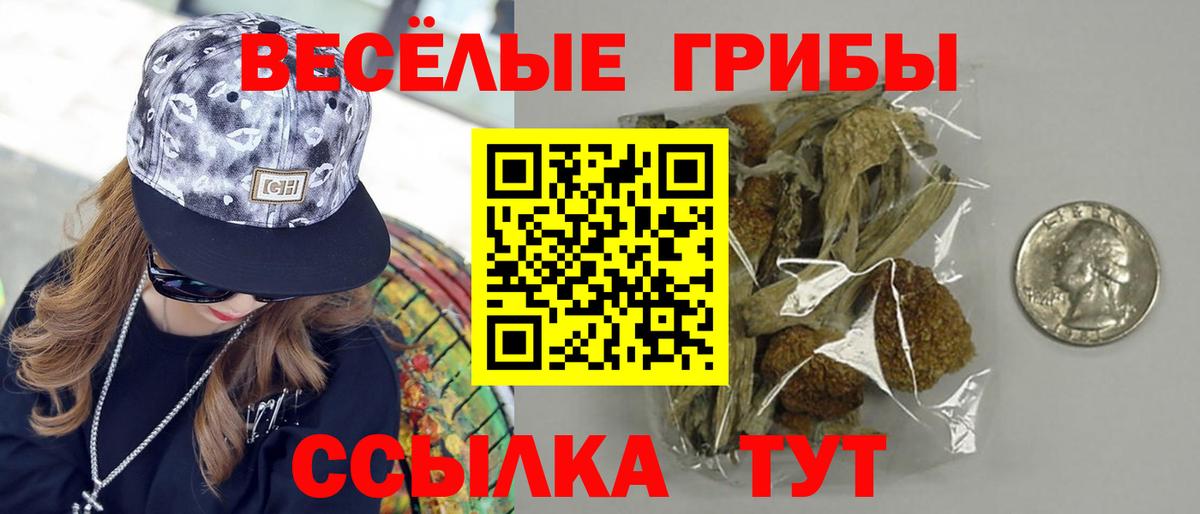 продажа наркотиков  Вход с VPN  Галлюциногенные грибы MAGIC MUSHROOMS  Магнитогорск  Псилоцибиновые грибы Magic Shrooms 